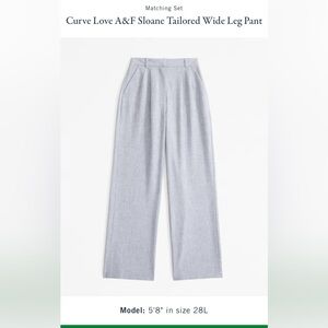 Abercrombie & Fitch Sloane Tailored Wide Leg Pant in Light Grey - 24P